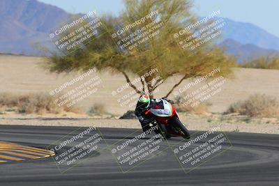 media/Feb-04-2023-SoCal Trackdays (Sat) [[8a776bf2c3]]/Turn 4 (Tree of Life 2pm)/